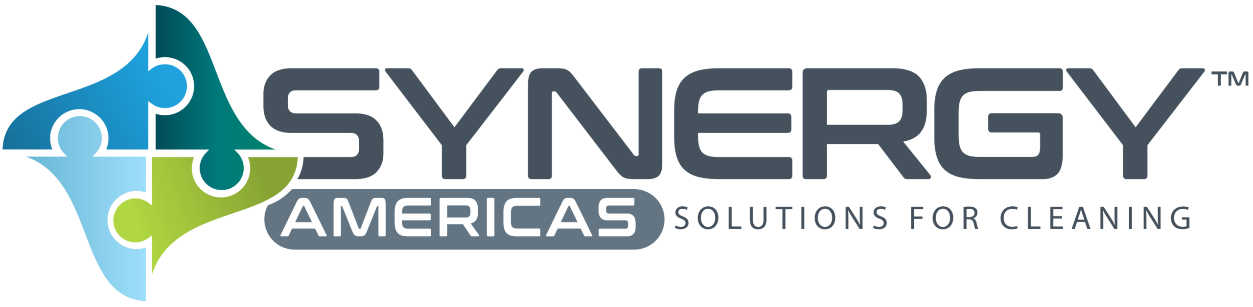 Synergy Americas logo_full color